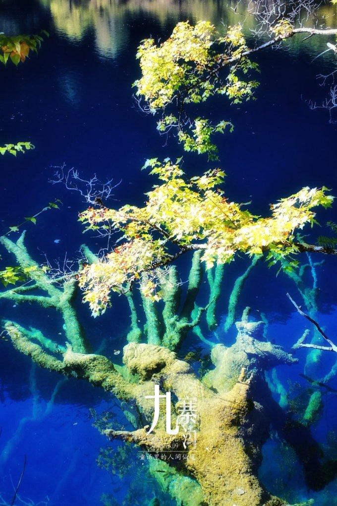 闲工谈哈尔滨的冰雪奇缘：不仅是旅游热潮，更是就业新机遇