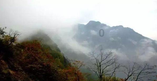 山东的特产