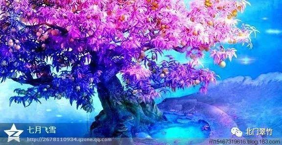 拳击俱乐部